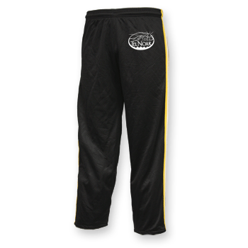 MESH BASKETBALL PANTS