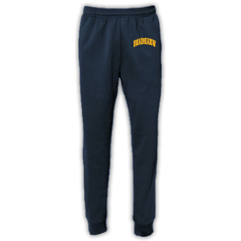 PERFORMANCE DRI-FIT JOGGERS